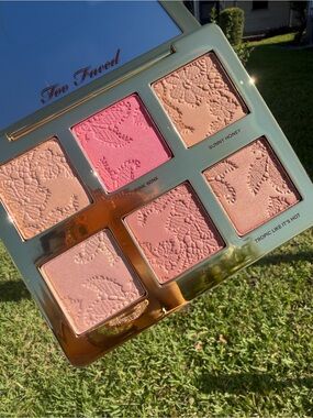 TOO FACED  Natural Face Palette Highlight & Blush & Bronzing